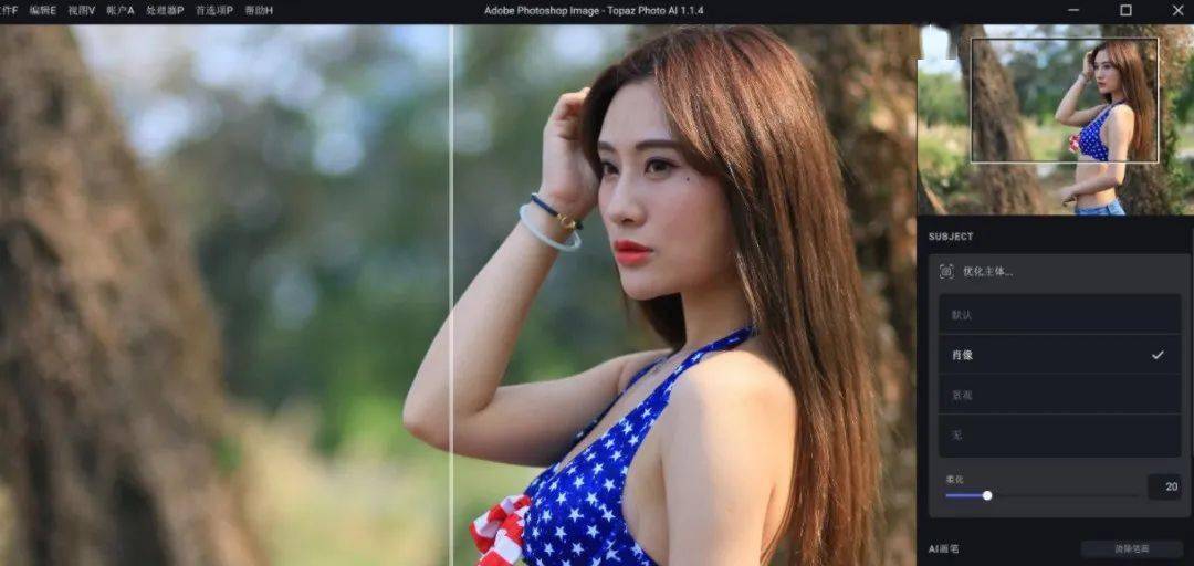 Topaz Photo AI v3.0.5便携版